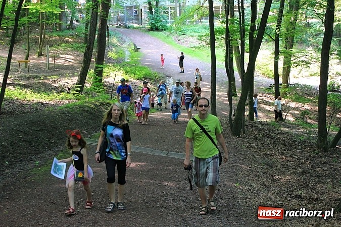 Zdjęcie w galerii na portalu naszraciborz.pl: Bajkowy las - moc rodzinnej zabawy w Oborze wiadomości z regionu