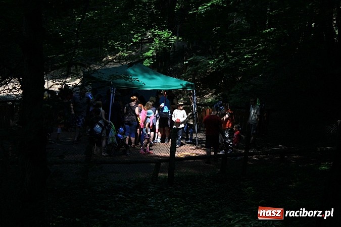 Zdjęcie w galerii na portalu naszraciborz.pl: Bajkowy las - moc rodzinnej zabawy w Oborze wiadomości z regionu