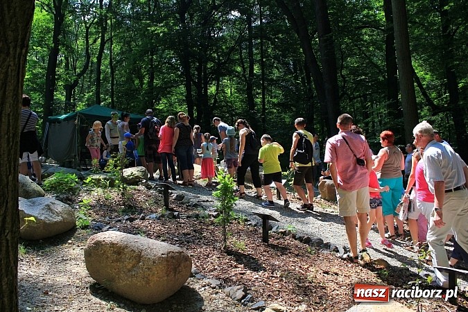 Zdjęcie w galerii na portalu naszraciborz.pl: Bajkowy las - moc rodzinnej zabawy w Oborze wiadomości z regionu