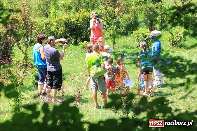 Zdjęcie w galerii na portalu naszraciborz.pl: Bajkowy las - moc rodzinnej zabawy w Oborze wiadomości z regionu