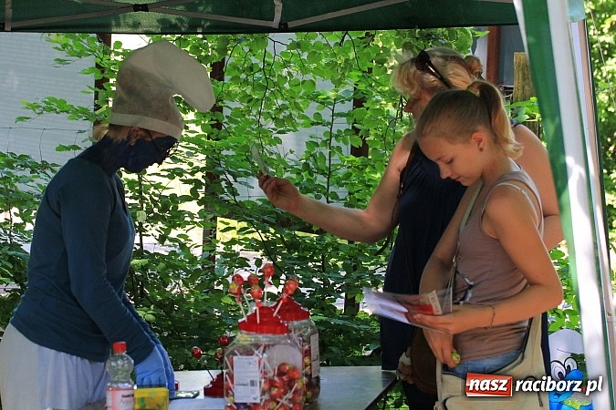 Zdjęcie w galerii na portalu naszraciborz.pl: Bajkowy las - moc rodzinnej zabawy w Oborze wiadomości z regionu