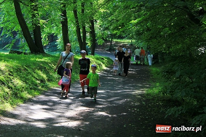 Zdjęcie w galerii na portalu naszraciborz.pl: Bajkowy las - moc rodzinnej zabawy w Oborze wiadomości z regionu