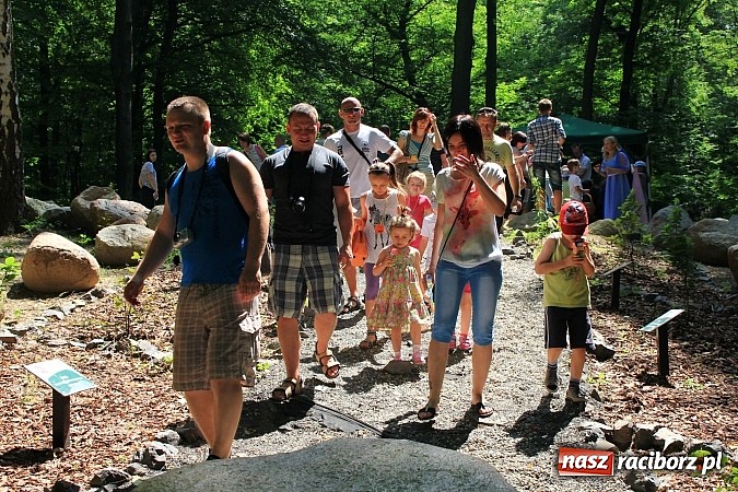 Zdjęcie w galerii na portalu naszraciborz.pl: Bajkowy las - moc rodzinnej zabawy w Oborze wiadomości z regionu