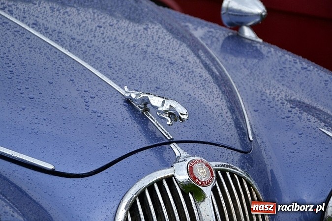 Zdjęcie w galerii na portalu naszraciborz.pl: Jaguar MK 2 z 1967 roku najpiękniejszym oldtimerem zlotu w Zabełkowie wiadomości z regionu