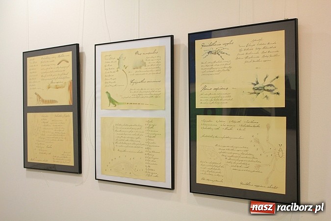 Zdjęcie w galerii na portalu naszraciborz.pl: Studenci bronili swoich prac dyplomowych wiadomości z regionu