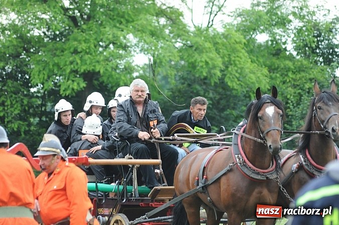 Zdjęcie w galerii na portalu naszraciborz.pl: Bieńkowice najlepsze w międzynarodowych zawodach sikawek konnych wiadomości z regionu