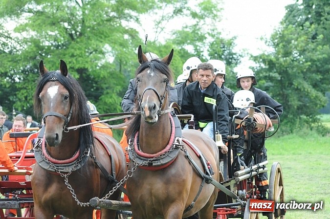 Zdjęcie w galerii na portalu naszraciborz.pl: Bieńkowice najlepsze w międzynarodowych zawodach sikawek konnych wiadomości z regionu