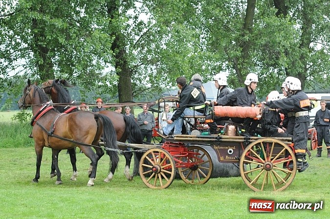 Zdjęcie w galerii na portalu naszraciborz.pl: Bieńkowice najlepsze w międzynarodowych zawodach sikawek konnych wiadomości z regionu