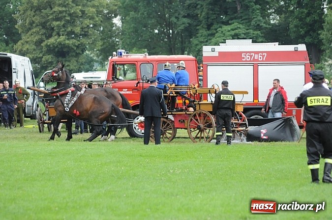 Zdjęcie w galerii na portalu naszraciborz.pl: Bieńkowice najlepsze w międzynarodowych zawodach sikawek konnych wiadomości z regionu