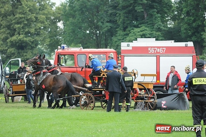Zdjęcie w galerii na portalu naszraciborz.pl: Bieńkowice najlepsze w międzynarodowych zawodach sikawek konnych wiadomości z regionu