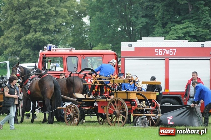 Zdjęcie w galerii na portalu naszraciborz.pl: Bieńkowice najlepsze w międzynarodowych zawodach sikawek konnych wiadomości z regionu