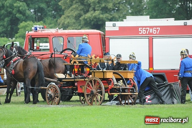 Zdjęcie w galerii na portalu naszraciborz.pl: Bieńkowice najlepsze w międzynarodowych zawodach sikawek konnych wiadomości z regionu
