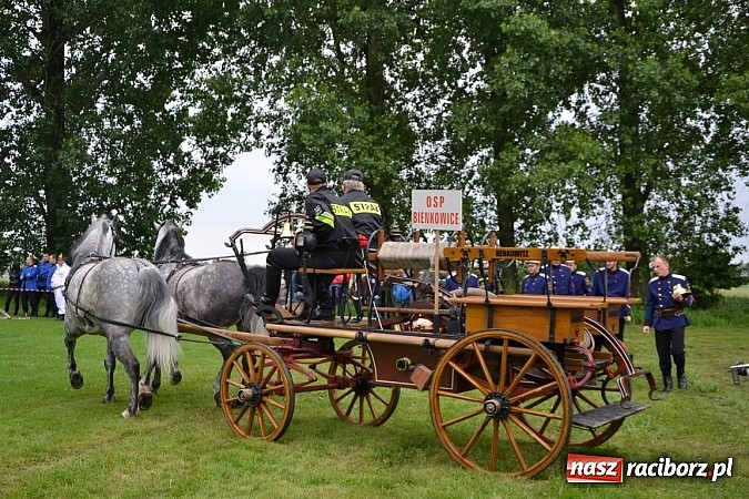 Zdjęcie w galerii na portalu naszraciborz.pl: Bieńkowice najlepsze w międzynarodowych zawodach sikawek konnych wiadomości z regionu