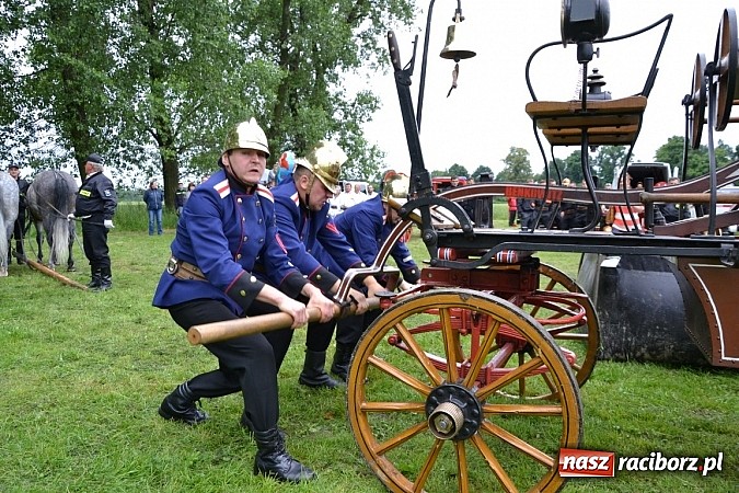 Zdjęcie w galerii na portalu naszraciborz.pl: Bieńkowice najlepsze w międzynarodowych zawodach sikawek konnych wiadomości z regionu