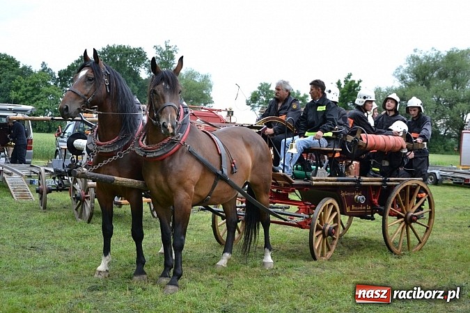 Zdjęcie w galerii na portalu naszraciborz.pl: Bieńkowice najlepsze w międzynarodowych zawodach sikawek konnych wiadomości z regionu