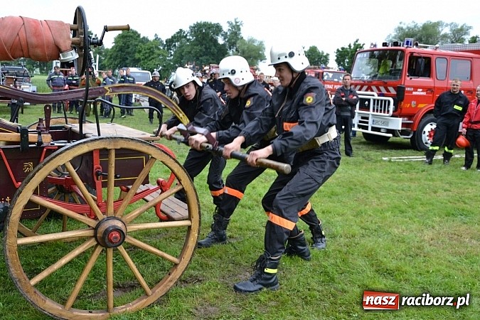 Zdjęcie w galerii na portalu naszraciborz.pl: Bieńkowice najlepsze w międzynarodowych zawodach sikawek konnych wiadomości z regionu