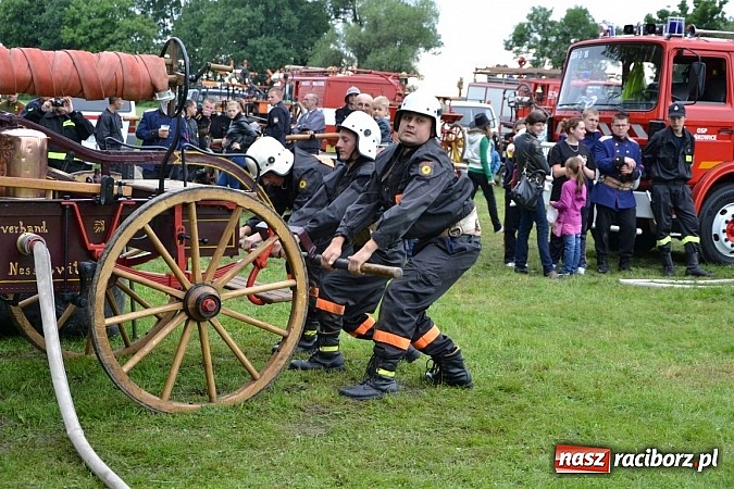 Zdjęcie w galerii na portalu naszraciborz.pl: Bieńkowice najlepsze w międzynarodowych zawodach sikawek konnych wiadomości z regionu