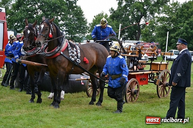 Zdjęcie w galerii na portalu naszraciborz.pl: Bieńkowice najlepsze w międzynarodowych zawodach sikawek konnych wiadomości z regionu