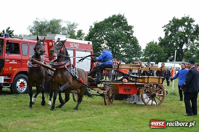Zdjęcie w galerii na portalu naszraciborz.pl: Bieńkowice najlepsze w międzynarodowych zawodach sikawek konnych wiadomości z regionu