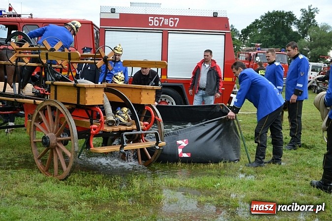 Zdjęcie w galerii na portalu naszraciborz.pl: Bieńkowice najlepsze w międzynarodowych zawodach sikawek konnych wiadomości z regionu