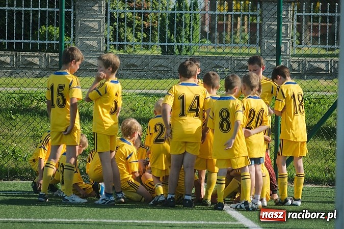 Zdjęcie w galerii na portalu naszraciborz.pl: Młode Wilki z Tworkowa zmierzyły się z rodzicami wiadomości z regionu