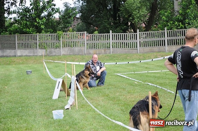 Zdjęcie w galerii na portalu naszraciborz.pl: Wystawa psów rasowych w Nędzy wiadomości z regionu