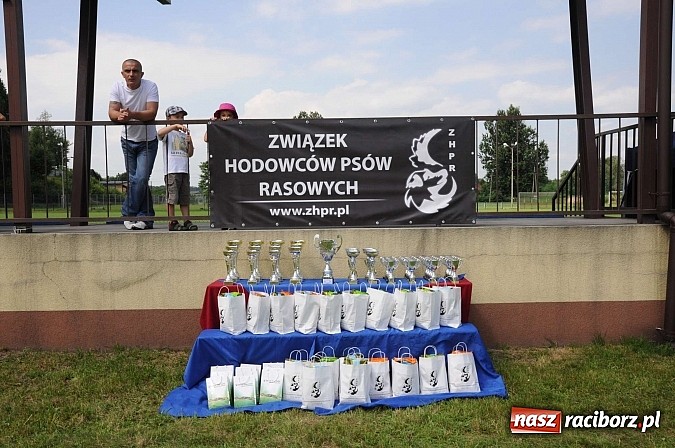 Zdjęcie w galerii na portalu naszraciborz.pl: Wystawa psów rasowych w Nędzy wiadomości z regionu