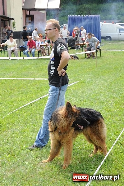 Zdjęcie w galerii na portalu naszraciborz.pl: Wystawa psów rasowych w Nędzy wiadomości z regionu
