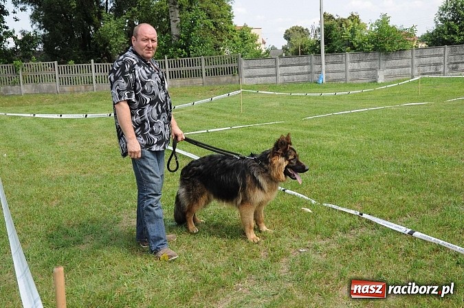 Zdjęcie w galerii na portalu naszraciborz.pl: Wystawa psów rasowych w Nędzy wiadomości z regionu