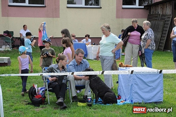 Zdjęcie w galerii na portalu naszraciborz.pl: Wystawa psów rasowych w Nędzy wiadomości z regionu