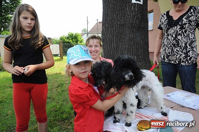 Zdjęcie w galerii na portalu naszraciborz.pl: Wystawa psów rasowych w Nędzy wiadomości z regionu