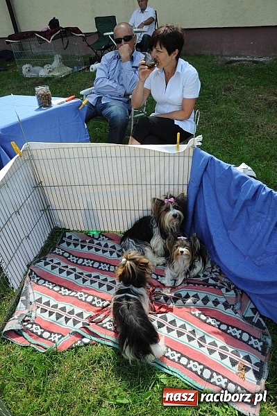 Zdjęcie w galerii na portalu naszraciborz.pl: Wystawa psów rasowych w Nędzy wiadomości z regionu