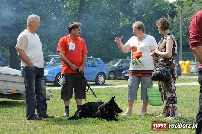 Zdjęcie w galerii na portalu naszraciborz.pl: Wystawa psów rasowych w Nędzy wiadomości z regionu