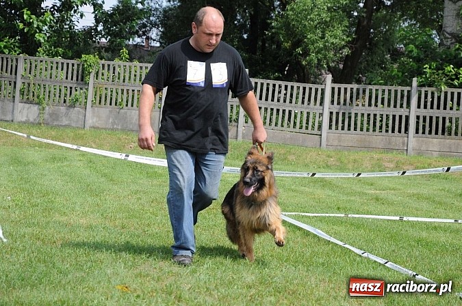 Zdjęcie w galerii na portalu naszraciborz.pl: Wystawa psów rasowych w Nędzy wiadomości z regionu