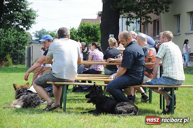 Zdjęcie w galerii na portalu naszraciborz.pl: Wystawa psów rasowych w Nędzy wiadomości z regionu