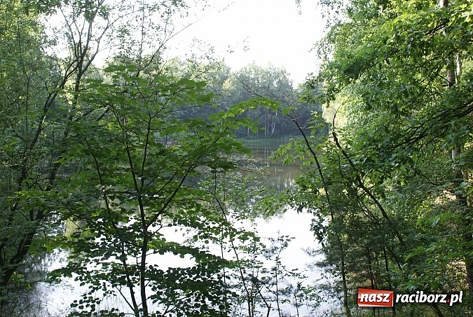 Zdjęcie w galerii na portalu naszraciborz.pl: Lubią wypoczywać na kąpielisku Wodnik w Kuźni wiadomości z regionu