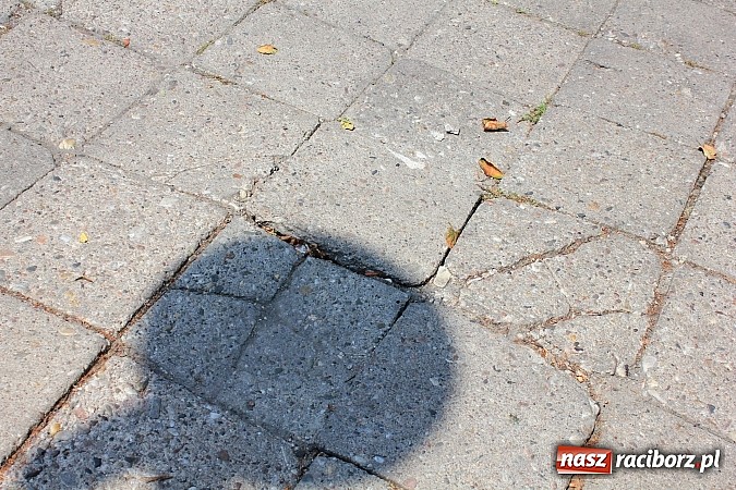 Zdjęcie w galerii na portalu naszraciborz.pl: Chodnik przy parku Moniuszki woła o remont wiadomości z regionu