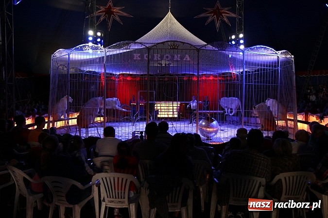 Zdjęcie w galerii na portalu naszraciborz.pl: Pełna sala na Fabryce śmiechu, czyli Cyrk Korona ze spektaklem w Raciborzu wiadomości z regionu