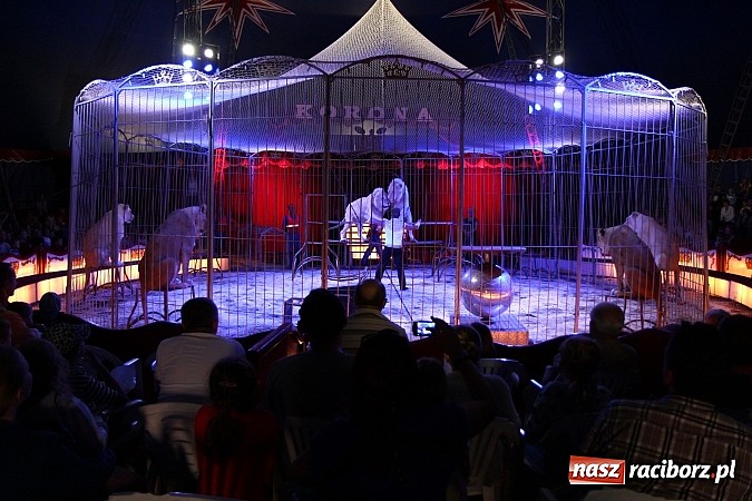 Zdjęcie w galerii na portalu naszraciborz.pl: Pełna sala na Fabryce śmiechu, czyli Cyrk Korona ze spektaklem w Raciborzu wiadomości z regionu