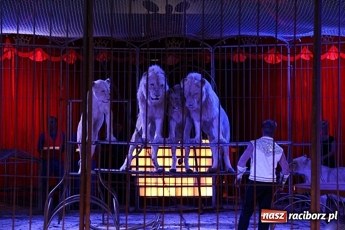 Zdjęcie w galerii na portalu naszraciborz.pl: Pełna sala na Fabryce śmiechu, czyli Cyrk Korona ze spektaklem w Raciborzu wiadomości z regionu