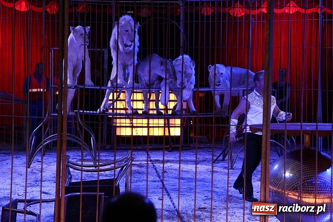 Zdjęcie w galerii na portalu naszraciborz.pl: Pełna sala na Fabryce śmiechu, czyli Cyrk Korona ze spektaklem w Raciborzu wiadomości z regionu