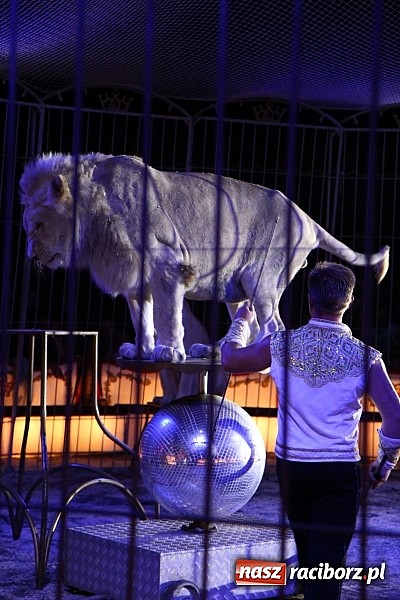Zdjęcie w galerii na portalu naszraciborz.pl: Pełna sala na Fabryce śmiechu, czyli Cyrk Korona ze spektaklem w Raciborzu wiadomości z regionu