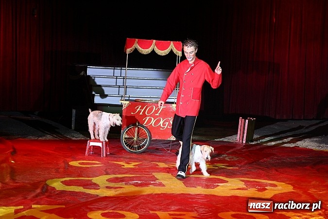 Zdjęcie w galerii na portalu naszraciborz.pl: Pełna sala na Fabryce śmiechu, czyli Cyrk Korona ze spektaklem w Raciborzu wiadomości z regionu