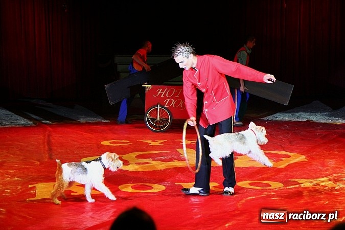 Zdjęcie w galerii na portalu naszraciborz.pl: Pełna sala na Fabryce śmiechu, czyli Cyrk Korona ze spektaklem w Raciborzu wiadomości z regionu