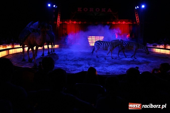 Zdjęcie w galerii na portalu naszraciborz.pl: Pełna sala na Fabryce śmiechu, czyli Cyrk Korona ze spektaklem w Raciborzu wiadomości z regionu