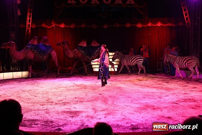 Zdjęcie w galerii na portalu naszraciborz.pl: Pełna sala na Fabryce śmiechu, czyli Cyrk Korona ze spektaklem w Raciborzu wiadomości z regionu