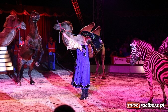 Zdjęcie w galerii na portalu naszraciborz.pl: Pełna sala na Fabryce śmiechu, czyli Cyrk Korona ze spektaklem w Raciborzu wiadomości z regionu