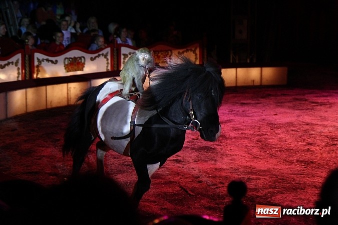 Zdjęcie w galerii na portalu naszraciborz.pl: Pełna sala na Fabryce śmiechu, czyli Cyrk Korona ze spektaklem w Raciborzu wiadomości z regionu