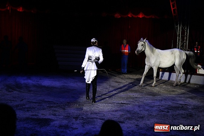 Zdjęcie w galerii na portalu naszraciborz.pl: Pełna sala na Fabryce śmiechu, czyli Cyrk Korona ze spektaklem w Raciborzu wiadomości z regionu