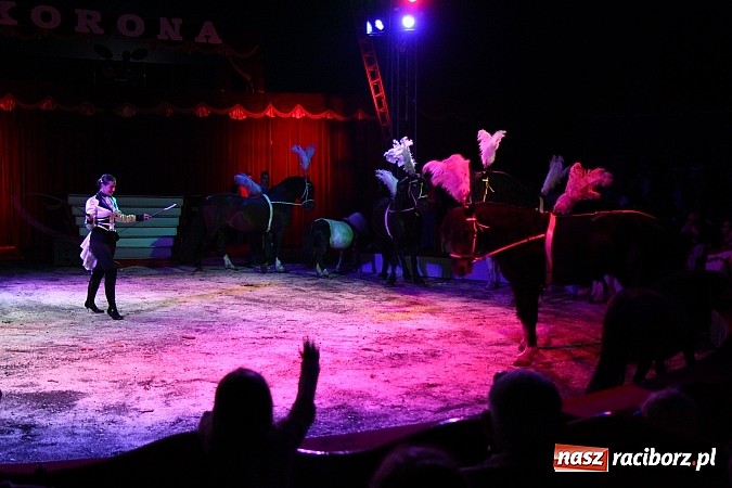 Zdjęcie w galerii na portalu naszraciborz.pl: Pełna sala na Fabryce śmiechu, czyli Cyrk Korona ze spektaklem w Raciborzu wiadomości z regionu